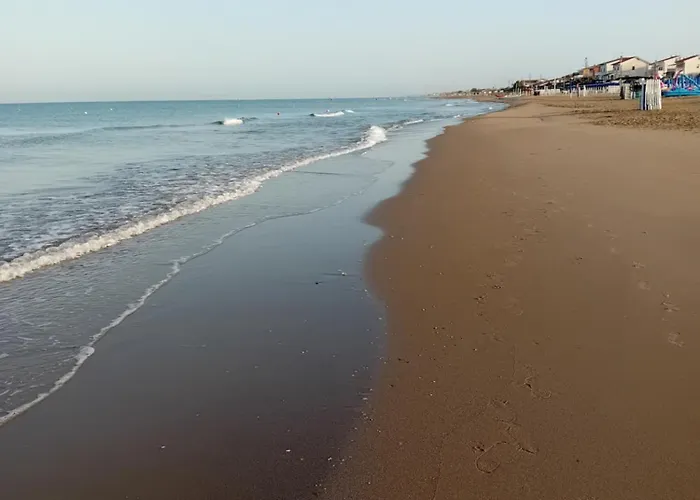 Aghi&salsedine Anzio